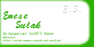 emese sulak business card